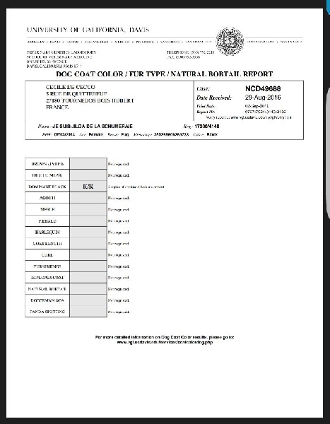 Je suis jilda (charlotte) De La Schumeraie