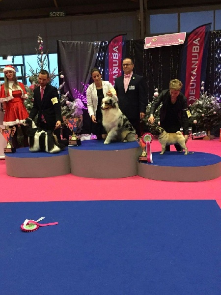 Publication : De La Schumeraie