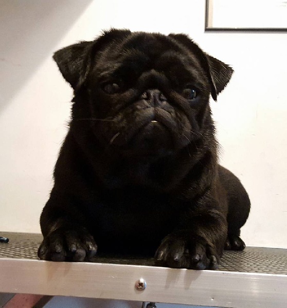 Je suis jilda (charlotte) De La Schumeraie