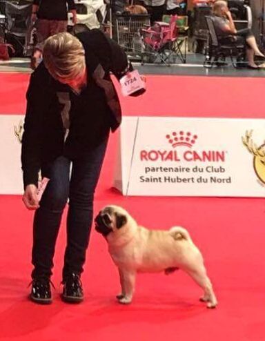 Publication : De La Schumeraie