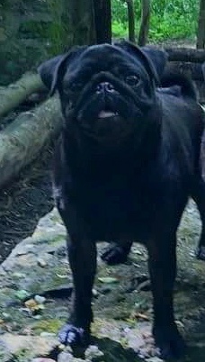 Je suis jilda (charlotte) De La Schumeraie