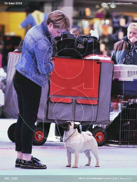 Publication : De La Schumeraie