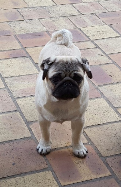 Publication : De La Schumeraie