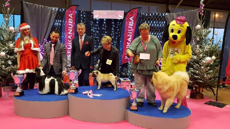 Publication : De La Schumeraie