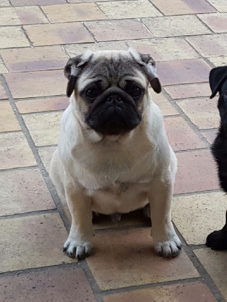 Publication : De La Schumeraie