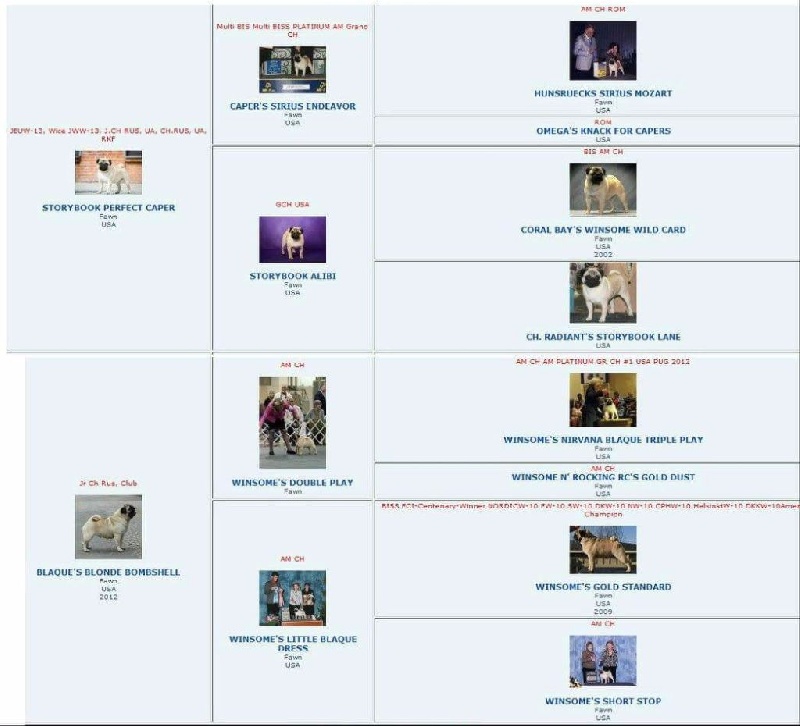 Publication : De La Schumeraie