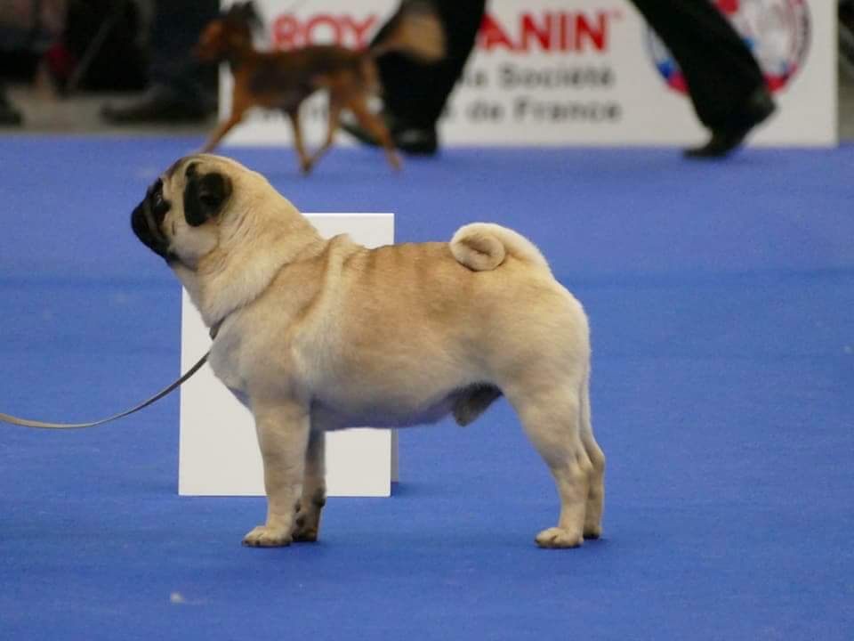 Publication : De La Schumeraie