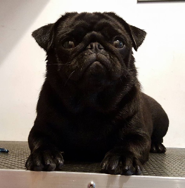 Je suis jilda (charlotte) De La Schumeraie