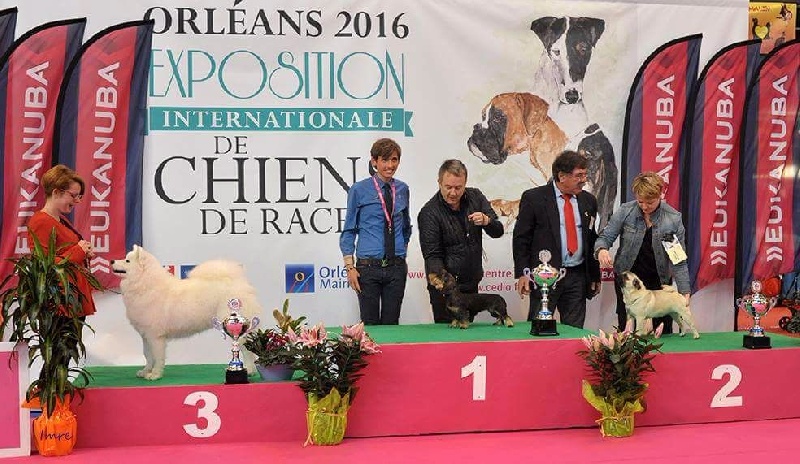 Publication : De La Schumeraie