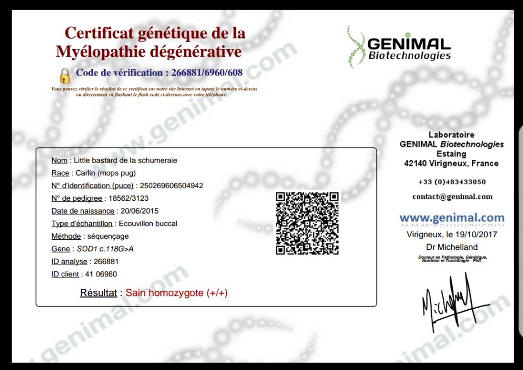 CH. Fr. little bastard (dodge) De La Schumeraie