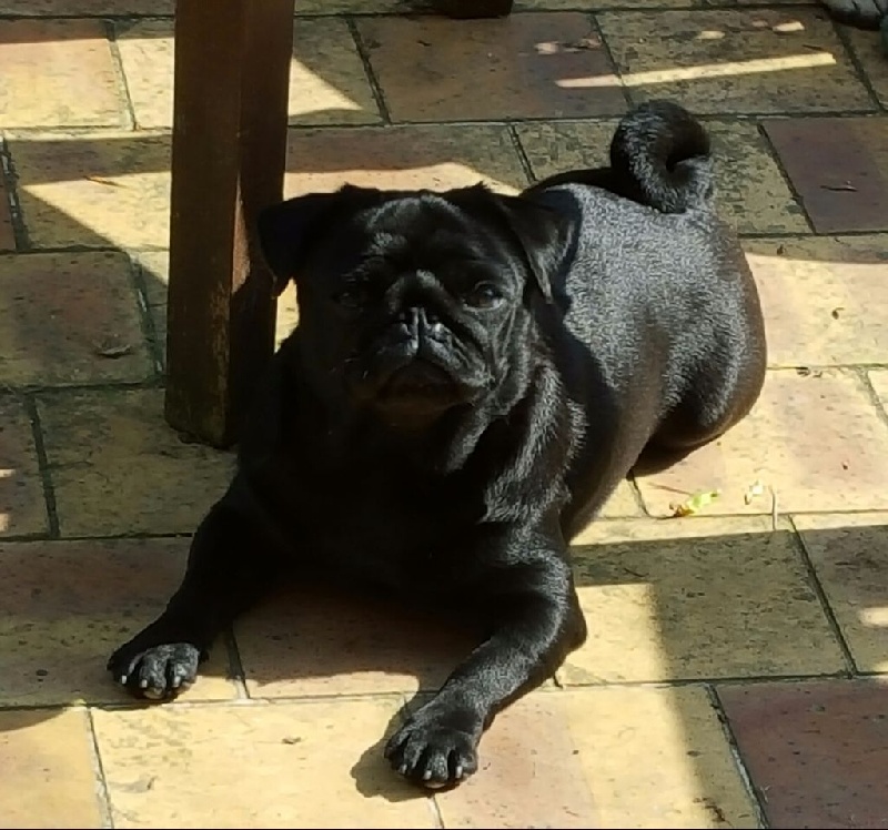 Je suis jilda (charlotte) De La Schumeraie