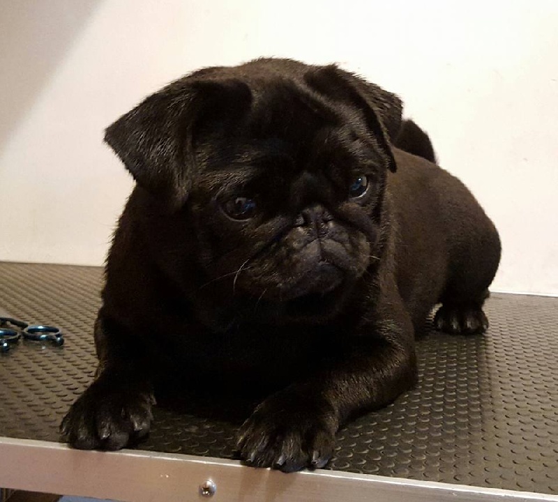 Je suis jilda (charlotte) De La Schumeraie