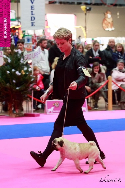 Publication : De La Schumeraie