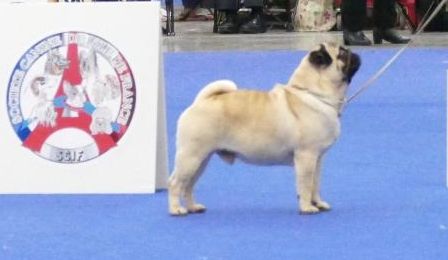 Publication : De La Schumeraie