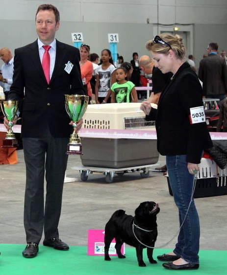 CH. Fr.lux. gus'tav blackjack De La Schumeraie - 1er exc. CACS-CACIB