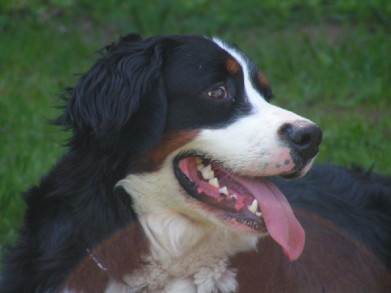 Dana du clos de la Cigalière - Très bon