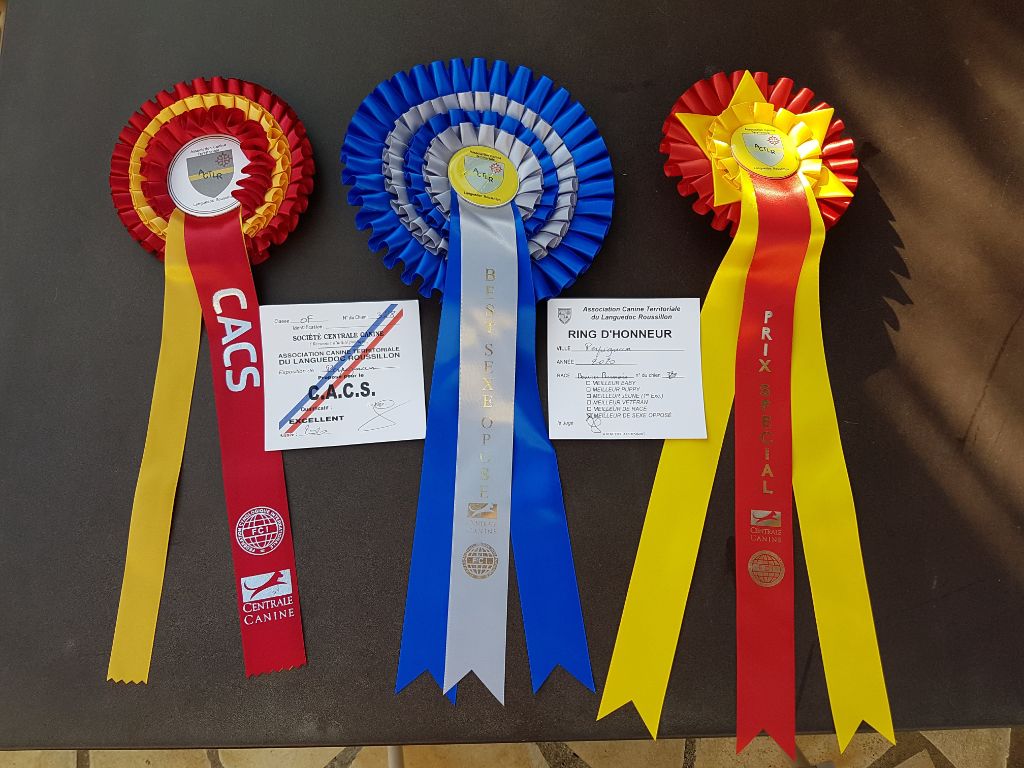 Mona lisa Du Jardin D'Emeraude - 1er EXC. CACS