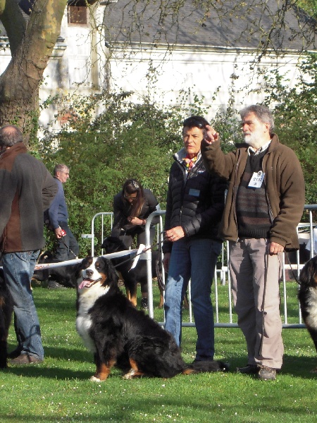 Dana du clos de la Cigalière - EXCELLENT - Ouverte Femelle