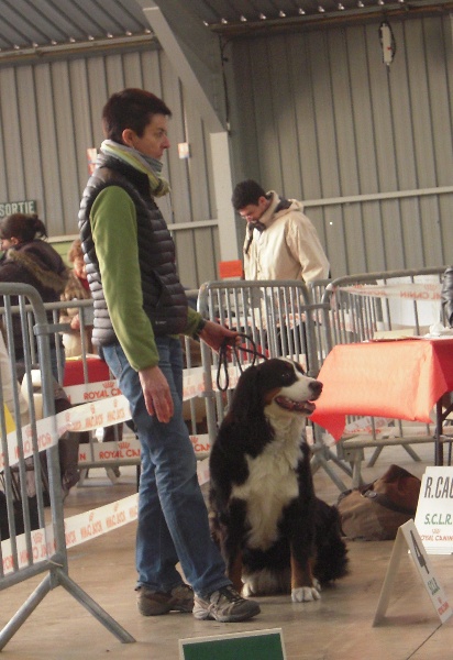 Dana du clos de la Cigalière - Excellent - Classement 4°