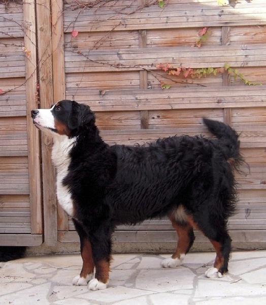 Dana du clos de la Cigalière - Très bon