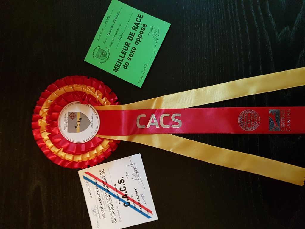 Mona lisa Du Jardin D'Emeraude - 1er EXC. CACS