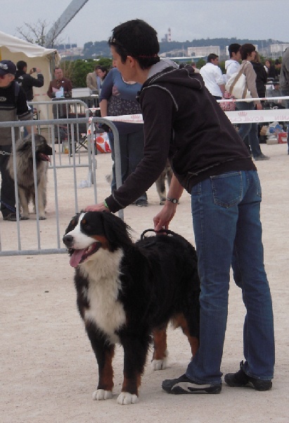 Dana du clos de la Cigalière - Excellent - Classement 4°