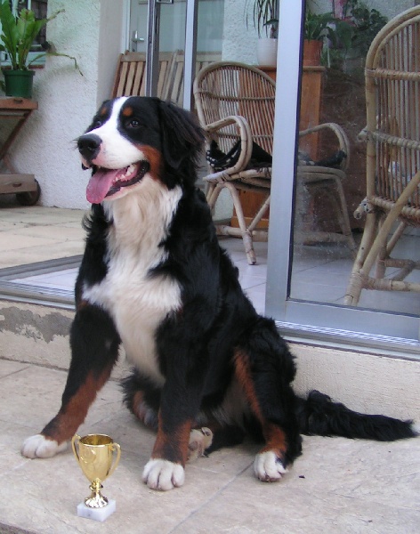 Dana du clos de la Cigalière - 3ème Très prometteur