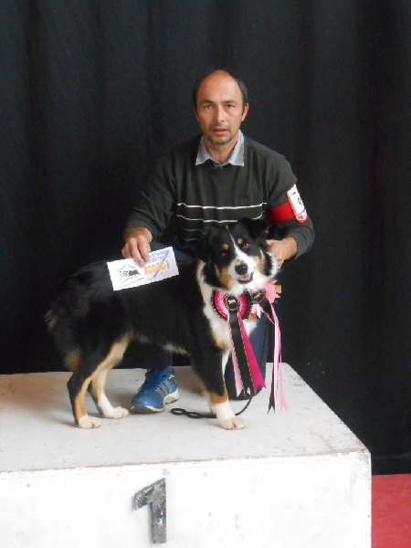 Indyana De La Ferme Des Paliès - 2eme excellent RCACCJ