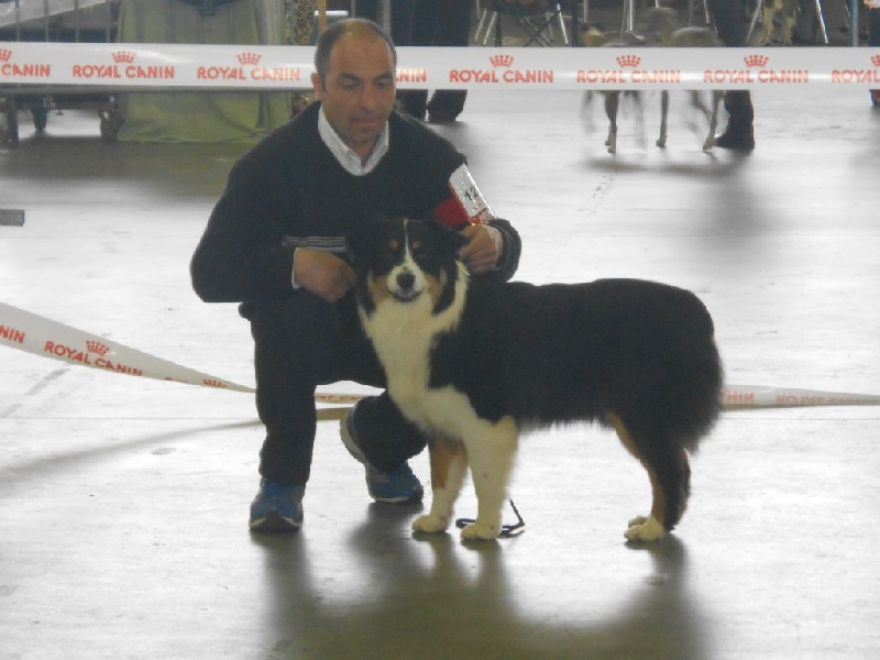 Indyana De La Ferme Des Paliès - 1er excellent jeune femelle