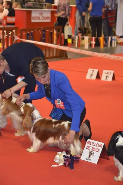 CH. Just my imagination Des Précieuses Pierres