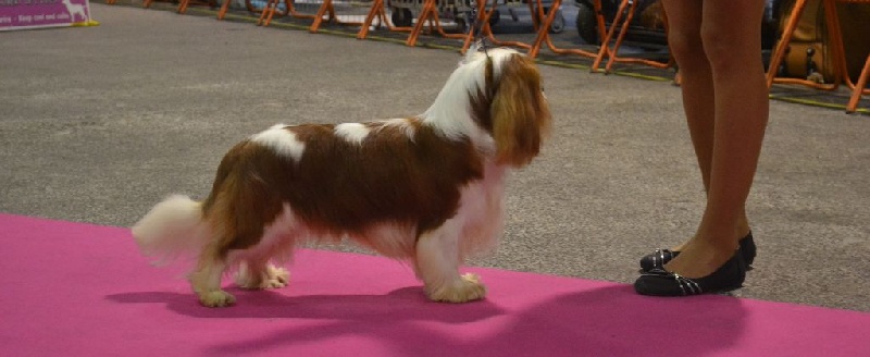 CH. Just my imagination Des Précieuses Pierres