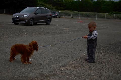 Imagine Des Précieuses Pierres