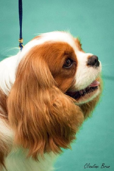 CH. Just my imagination Des Précieuses Pierres