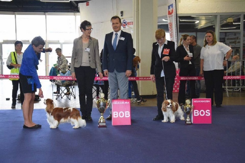 CH. Just my imagination Des Précieuses Pierres