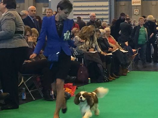 CH. Just my imagination Des Précieuses Pierres