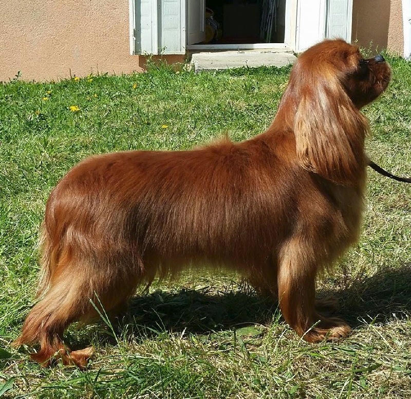 Imagine Des Précieuses Pierres