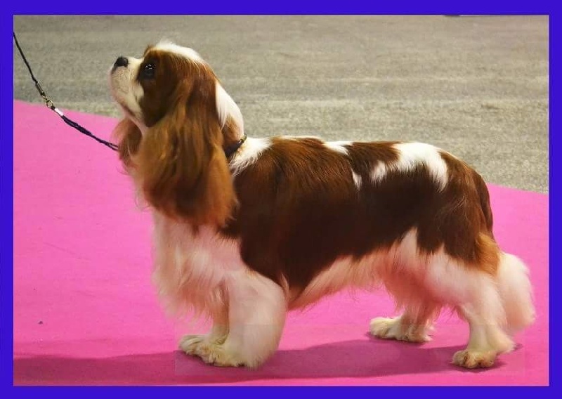 CH. Just my imagination Des Précieuses Pierres