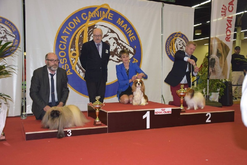 CH. Just my imagination Des Précieuses Pierres