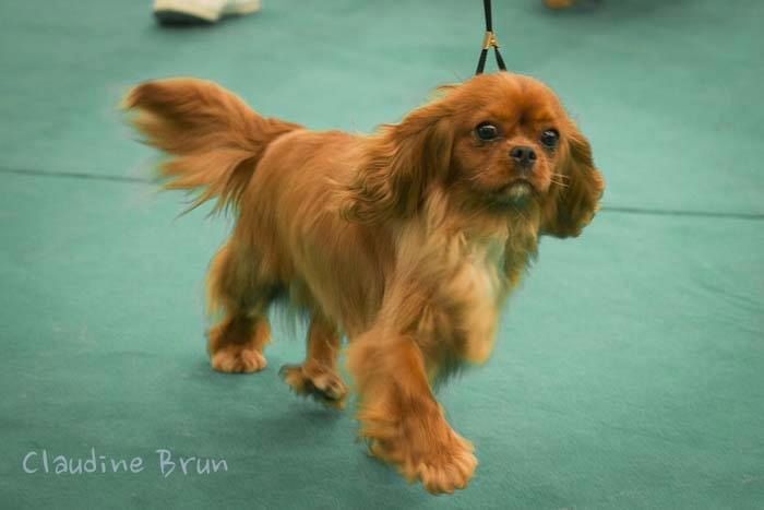 Imagine Des Précieuses Pierres