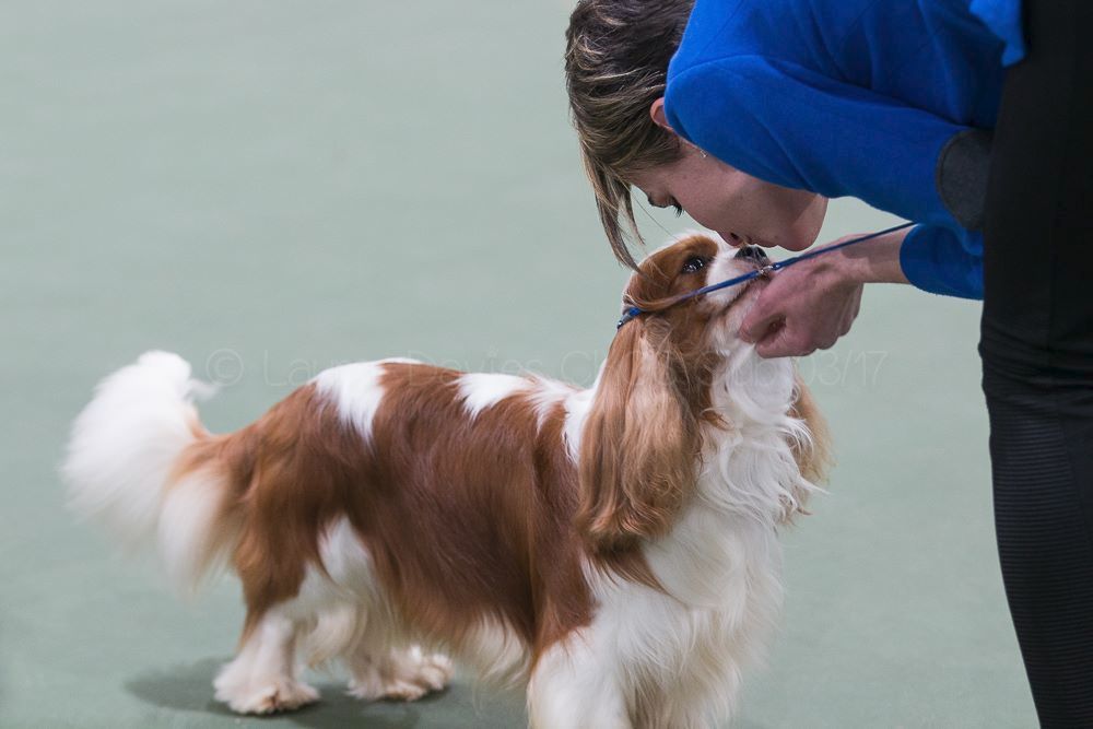 CH. Just my imagination Des Précieuses Pierres