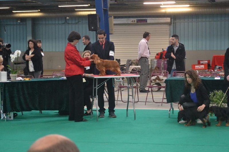 Imagine Des Précieuses Pierres