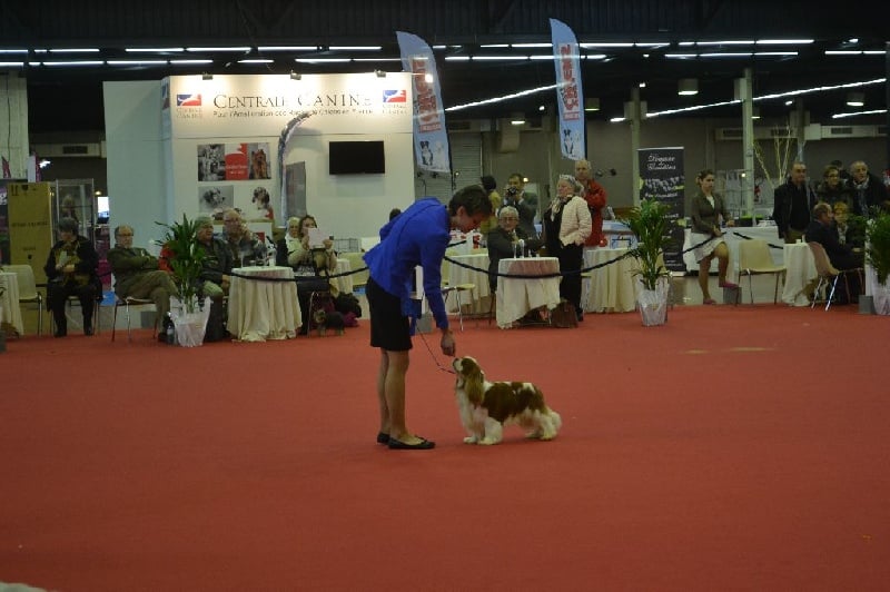 CH. Just my imagination Des Précieuses Pierres