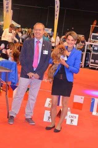 Imagine Des Précieuses Pierres