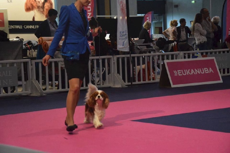 CH. Just my imagination Des Précieuses Pierres