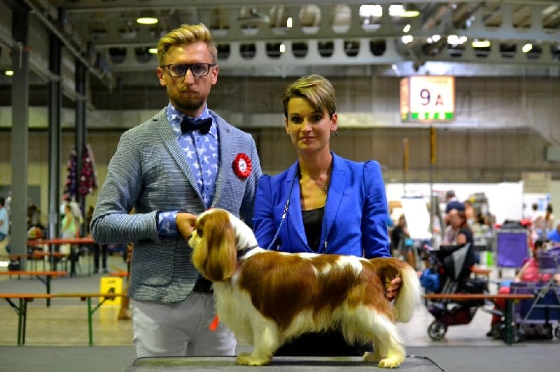 CH. Just my imagination Des Précieuses Pierres