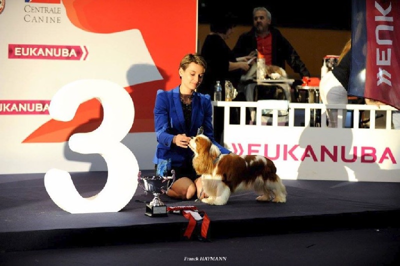 CH. Just my imagination Des Précieuses Pierres