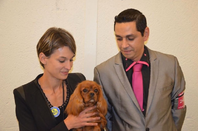 Imagine Des Précieuses Pierres