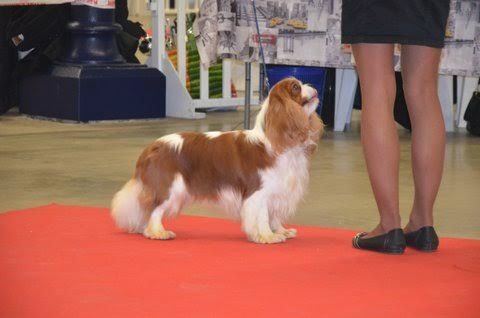 CH. Just my imagination Des Précieuses Pierres