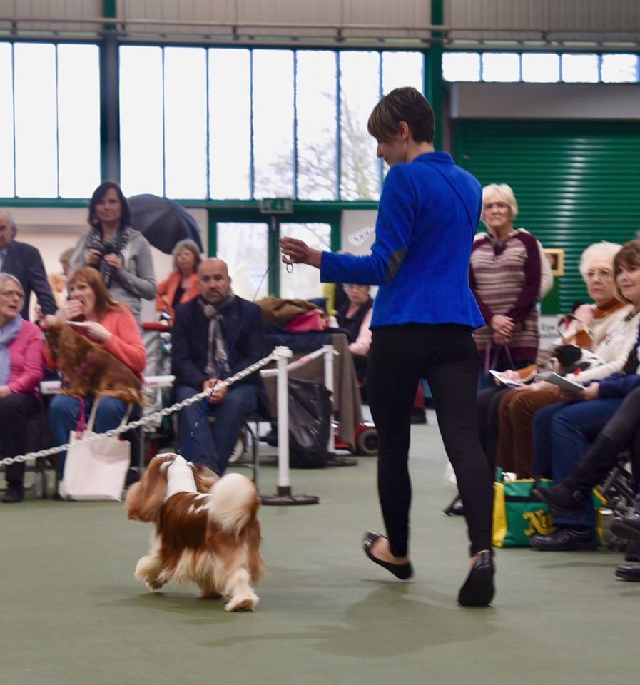 CH. Just my imagination Des Précieuses Pierres