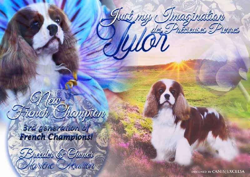 CH. Just my imagination Des Précieuses Pierres